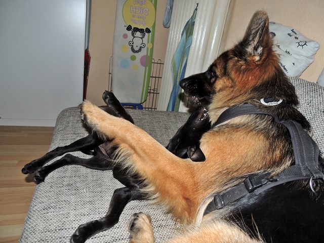 DSCN9668.JPG