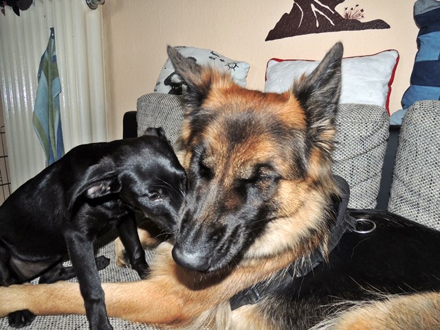 DSCN9671.JPG