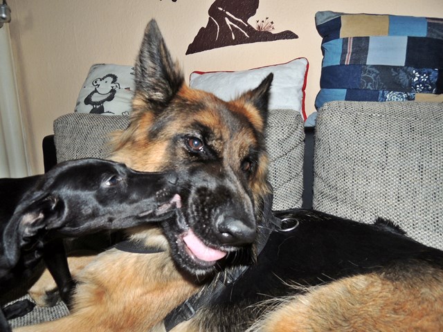 DSCN9672.JPG
