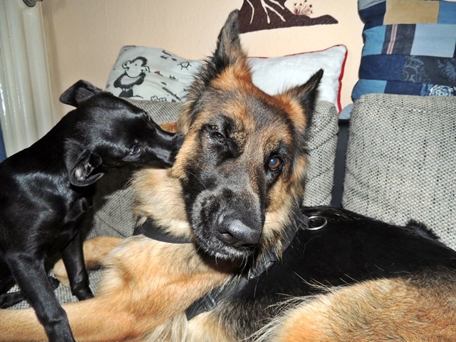 DSCN9673.JPG
