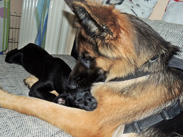 DSCN9674.JPG
