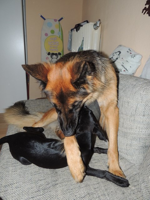 DSCN9679.JPG