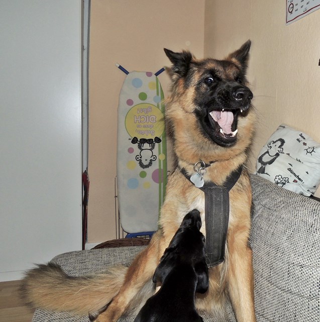 DSCN9684.JPG