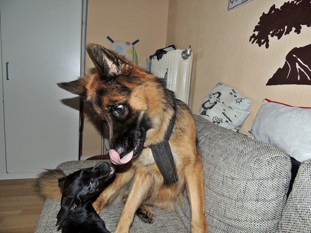 DSCN9685.JPG