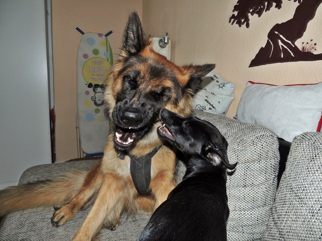 DSCN9687.JPG