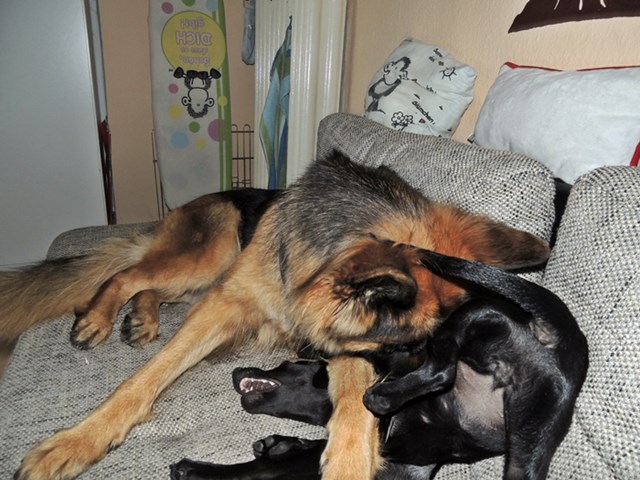 DSCN9688.JPG