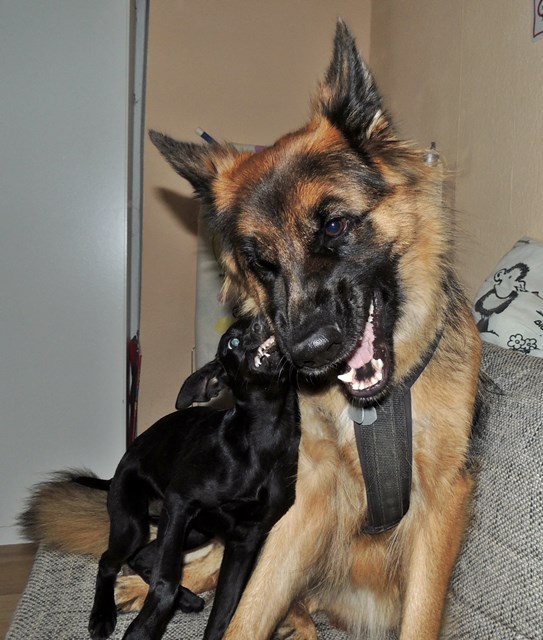 DSCN9689.JPG