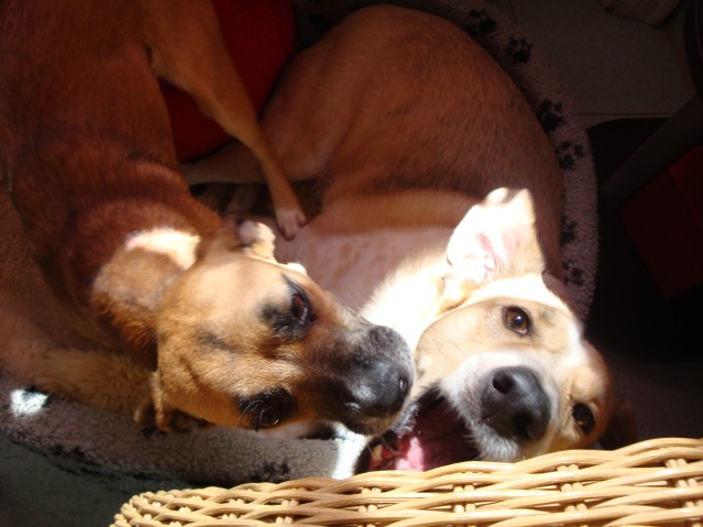DSC01641.JPG
