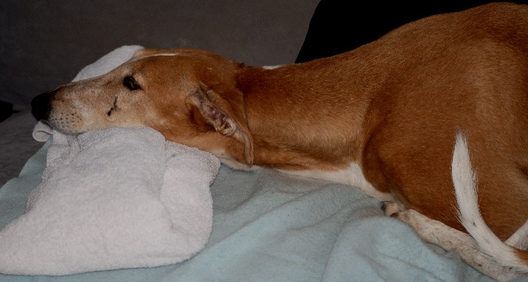 DSC_0608k.jpg