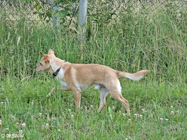DSCN9734.JPG