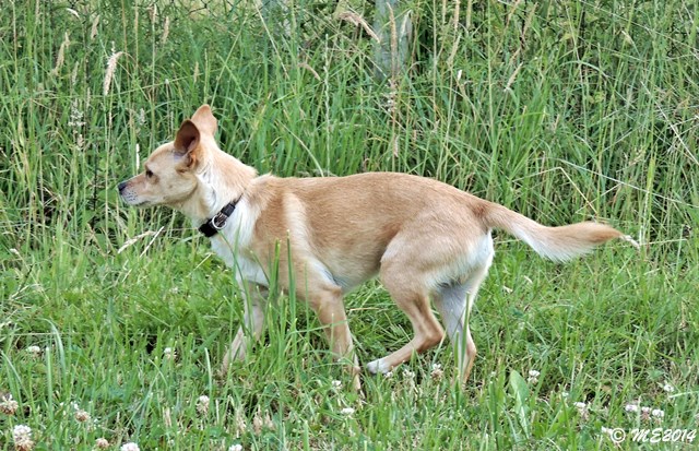 DSCN9735.JPG