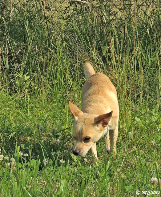 DSCN9747.JPG