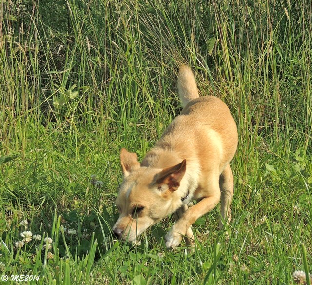 DSCN9748.JPG