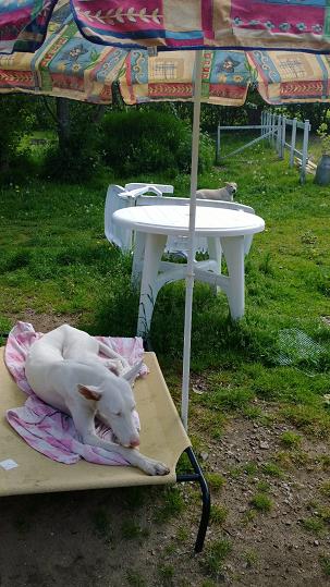 WP_20140520_003.jpg