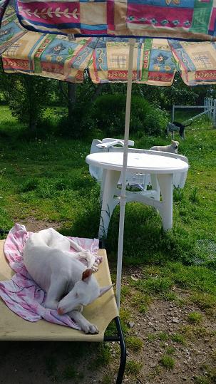 WP_20140520_006.jpg