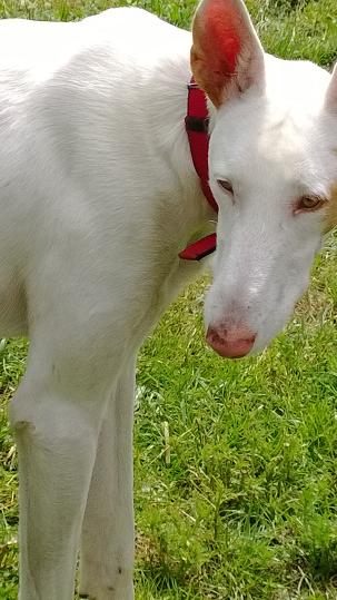 WP_20140624_010.jpg