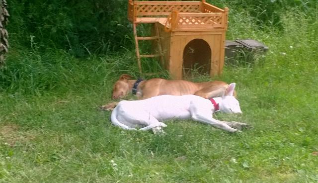 WP_20140617_002.jpg