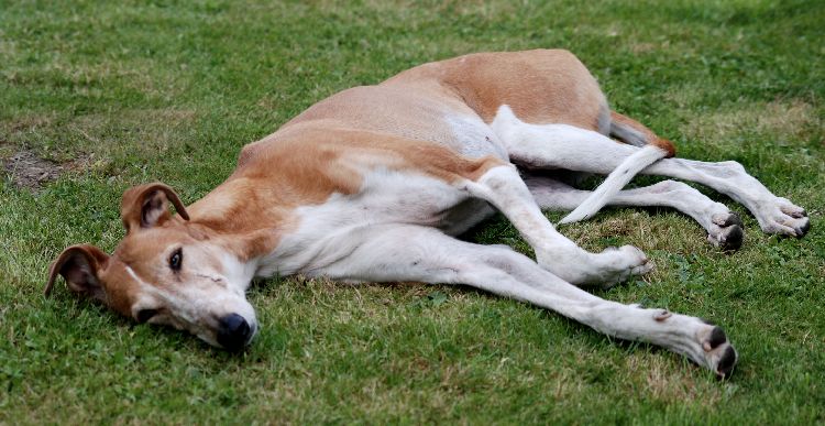 DSC_0688k.jpg