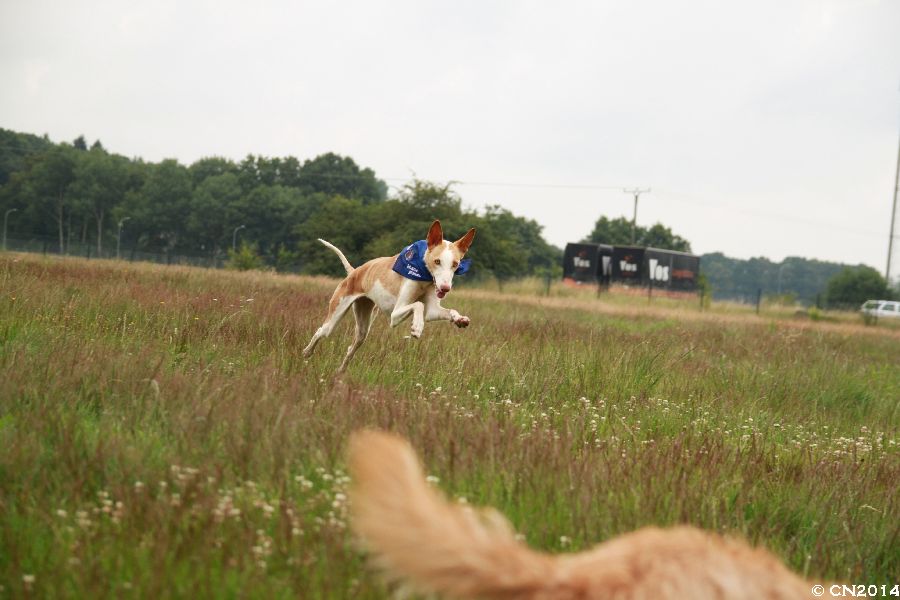 72dpi_IMG_2315.jpg