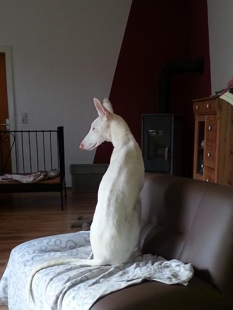 20140703_182020.jpg