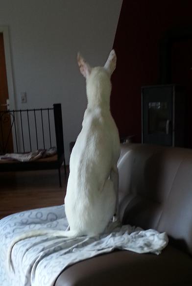 20140703_182033.jpg
