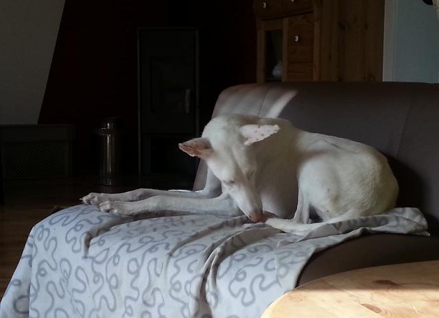 20140703_182145.jpg