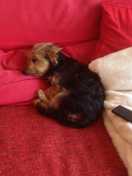 Daphne1.jpg