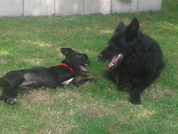 20140625_151456.jpg