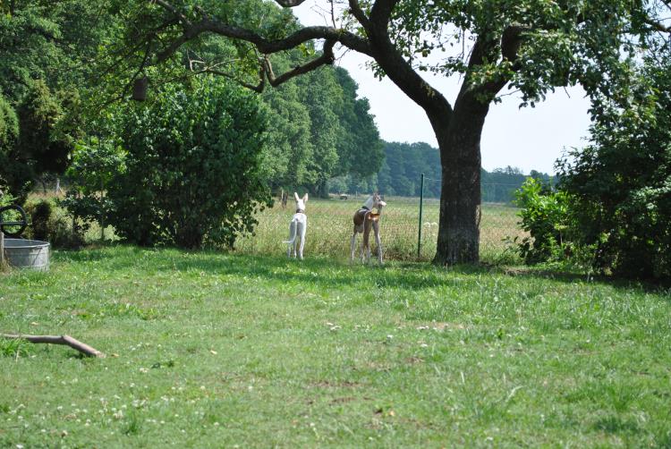 DSC_0082.JPG