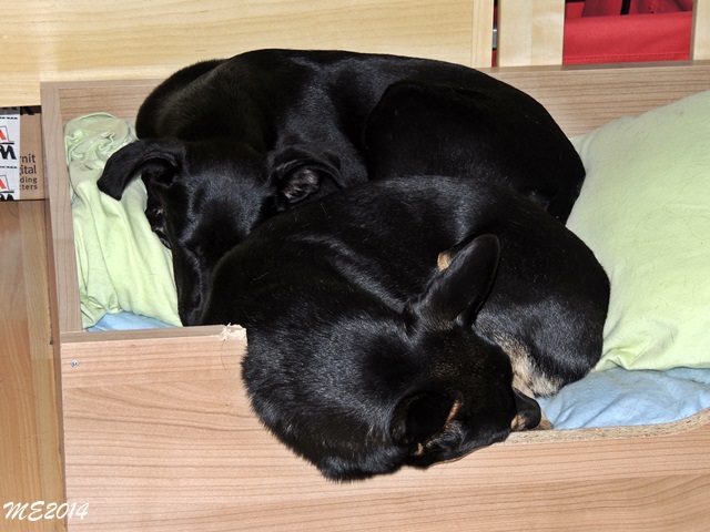 DSCN9752.JPG