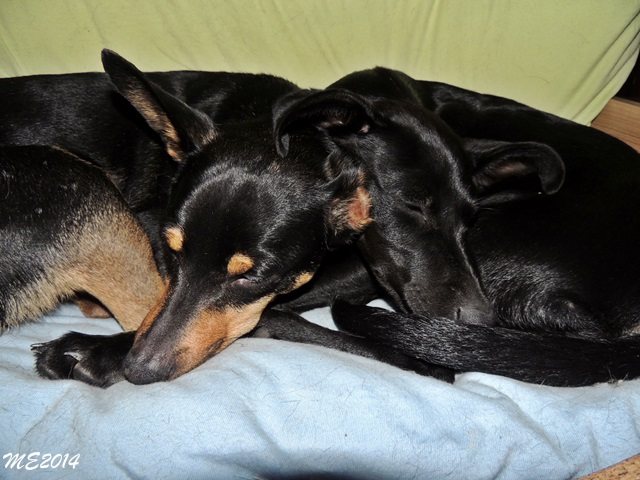 DSCN9762.JPG