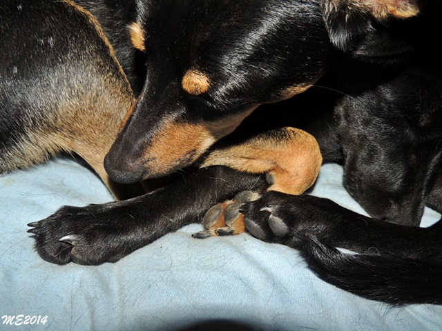 DSCN9766.JPG