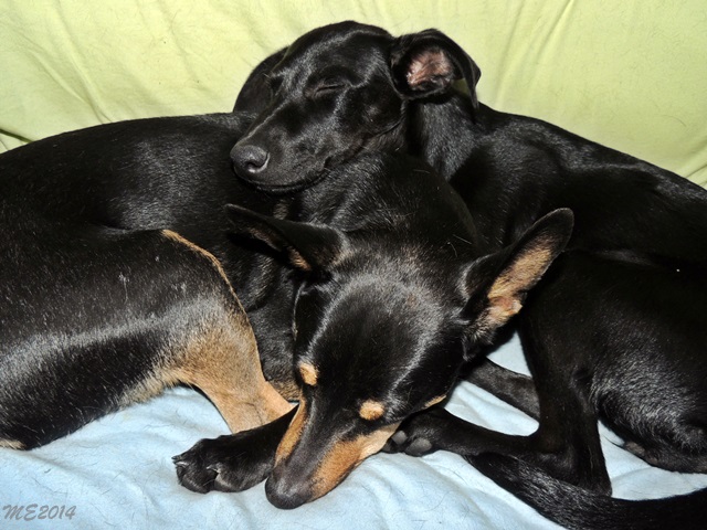 DSCN9768.JPG
