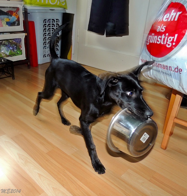 DSCN9777.JPG