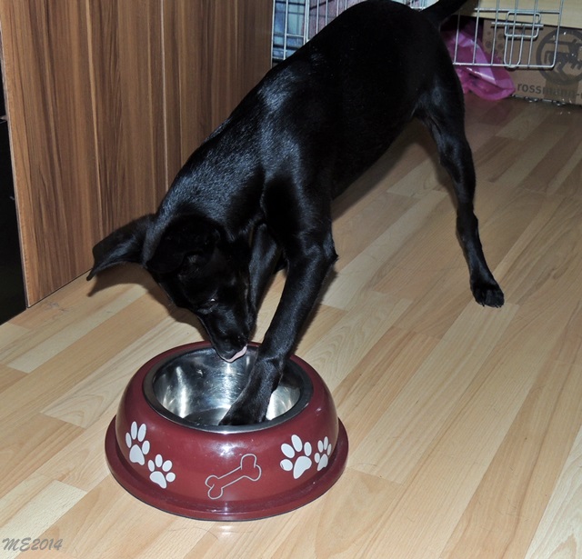 DSCN9778.JPG