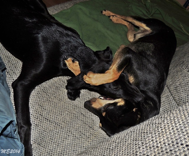 DSCN9877.JPG