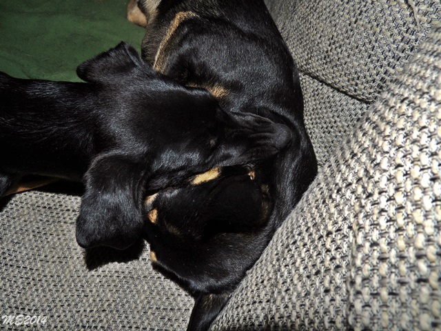 DSCN9878.JPG