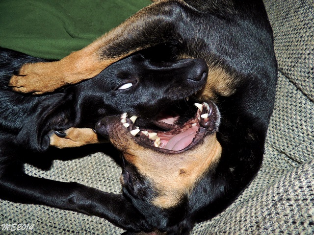 DSCN9879.JPG