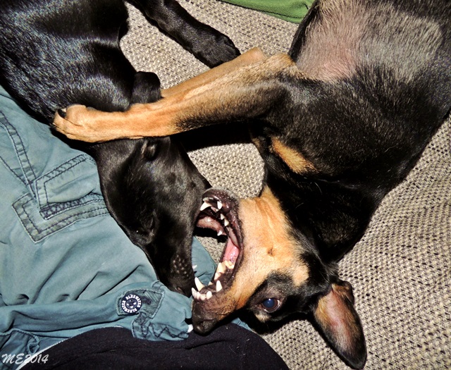 DSCN9886.JPG