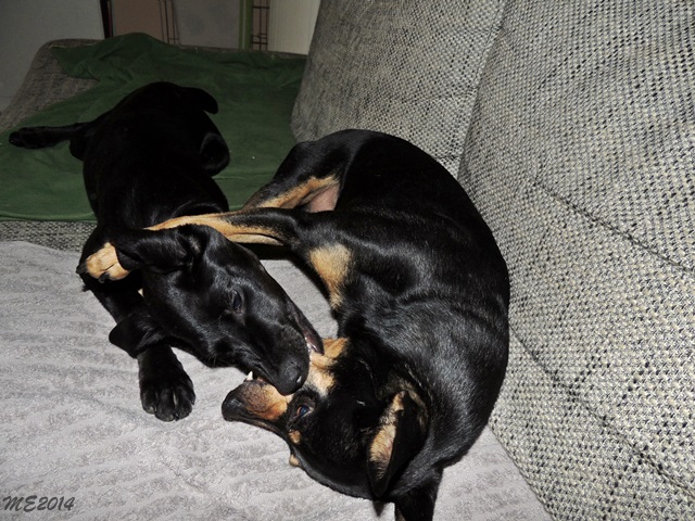 DSCN9916.JPG