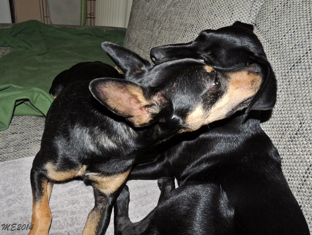 DSCN9921.JPG