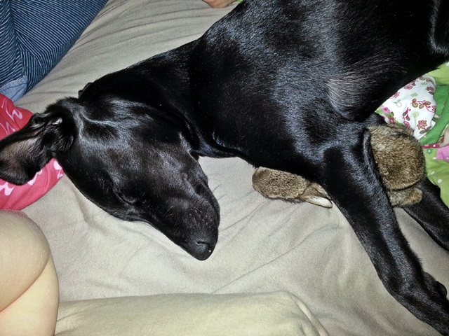20140713_105414.jpg