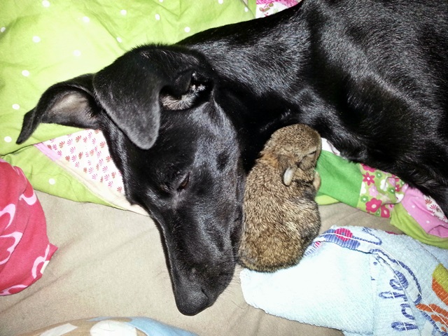 20140713_113932.jpg