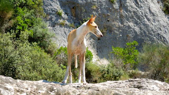 DSCN0735.jpg