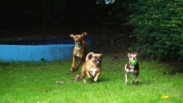 DSC06419.jpg