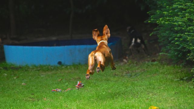 DSC06469.jpg