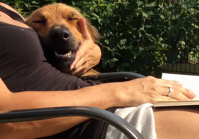 SamsonKuscheln.JPG