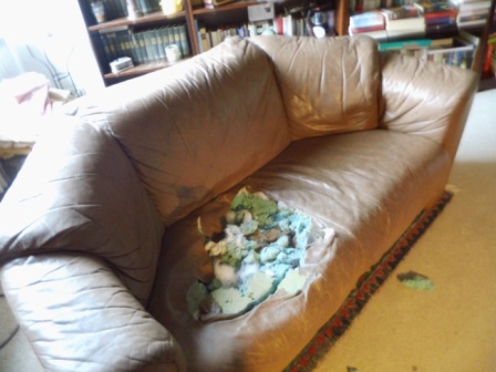 web sofa.jpg