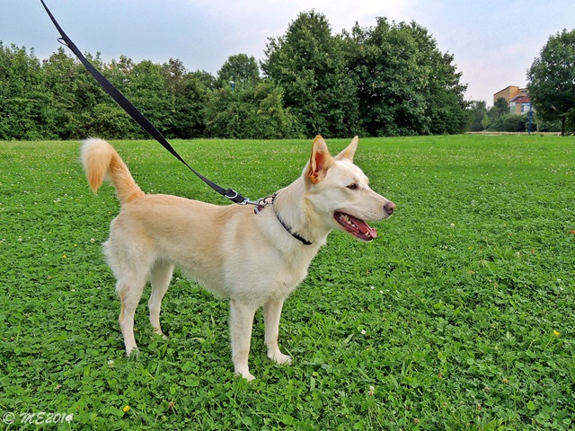 DSCN0118.JPG