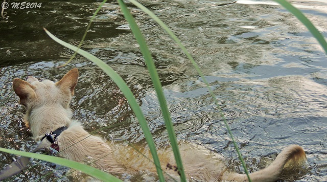 DSCN0172.JPG